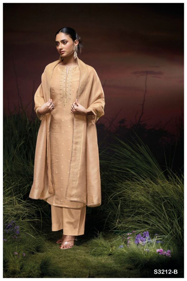 Salwar Suit New Designs