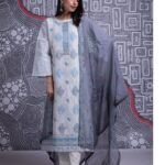 Naariti Shoolini embroidery Suits