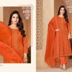 Salvi Embroidery Work Suits