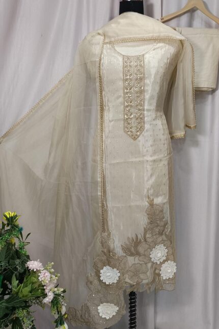 Banarasi Shimar Suit
