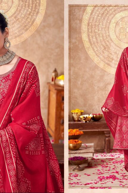Salvi Embroidery Work