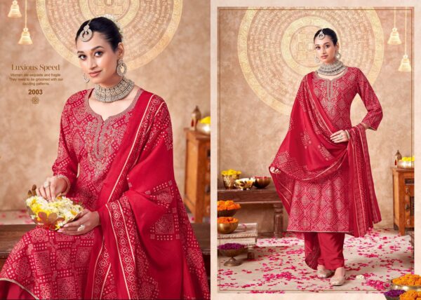 Salvi Embroidery Work