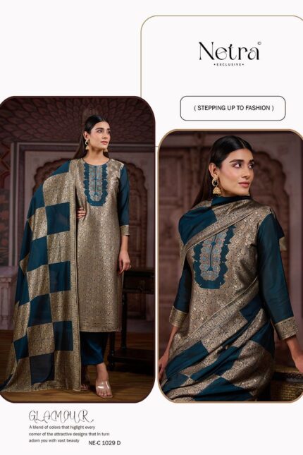 NETRA EXCLUSIVE SILK SUIT