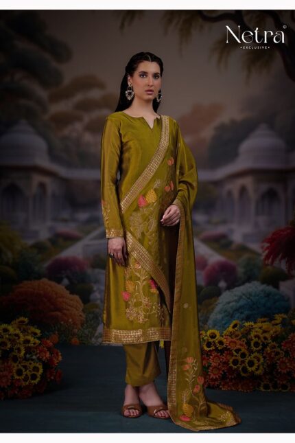 Netra Latest Silk Suit
