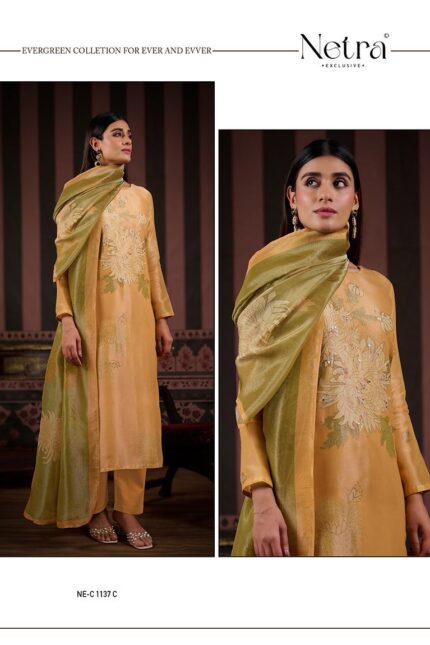 Netra Latest Silk Suit Set