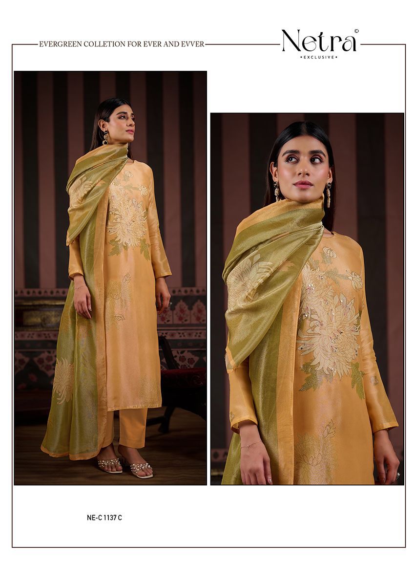 NETRA Exclusive – AZIVA | Bemberg Gadwal Silk Suit