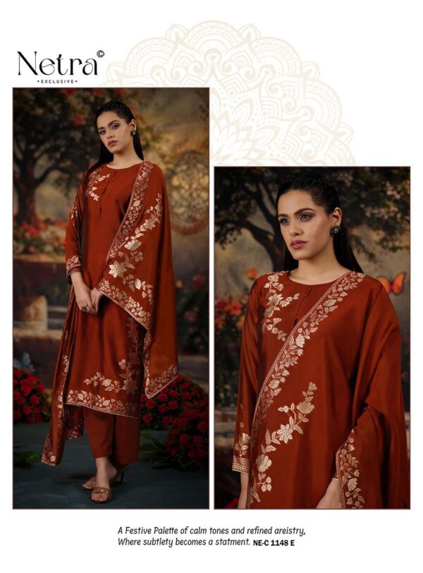 Netra Latest Ladies Silk Suits