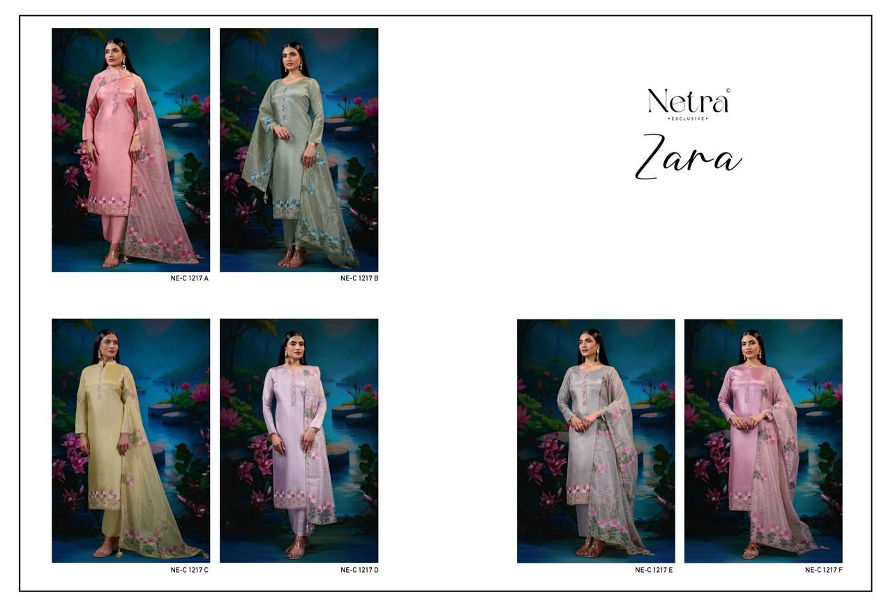 Netra zara ladies suits wholesalers n manufacturers in punjab and Delhi