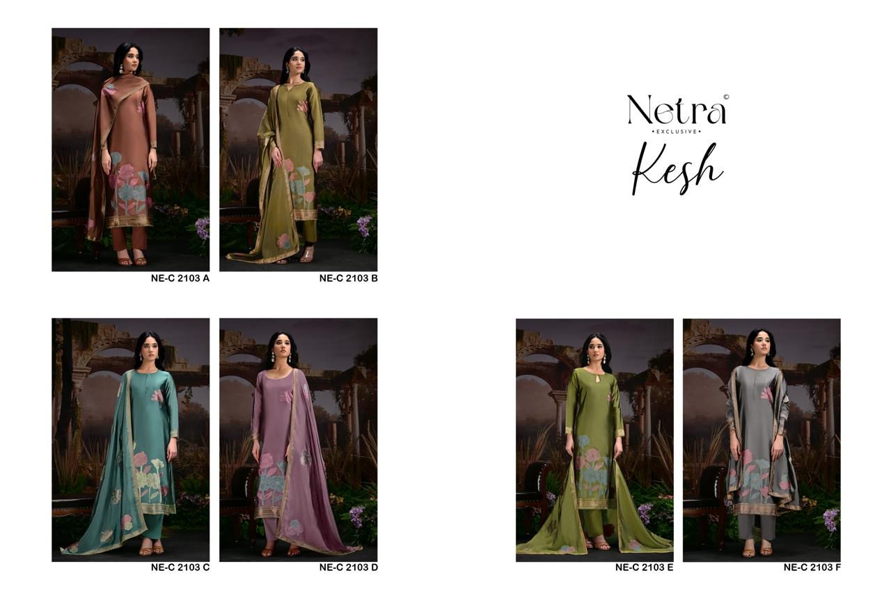 Netra kesh ladies suits wholesalers