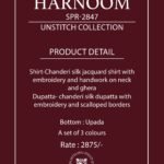 Naariti Harnoom Chanderi Silk Jacquard Hand Work Suit